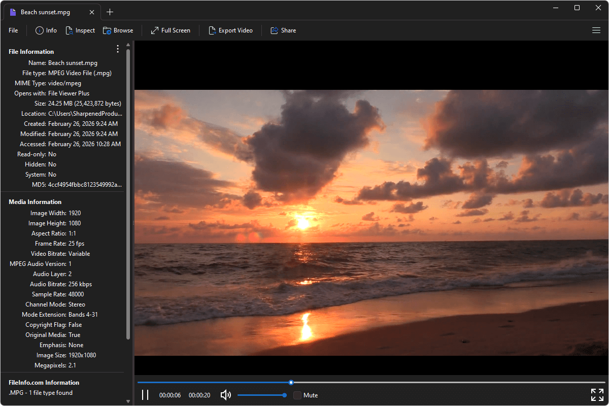 MPG file open in File Viewer Plus 6