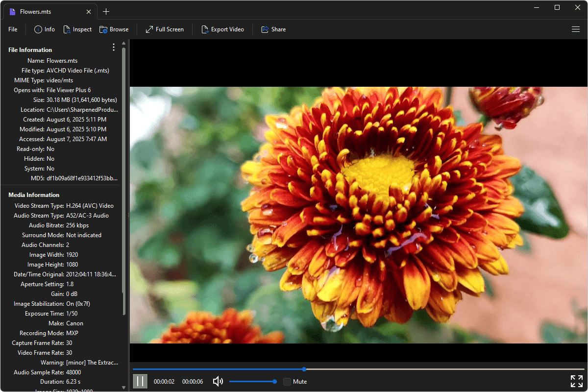 MTS file open in File Viewer Plus 6