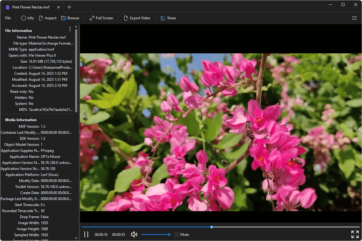 MXF file open in File Viewer Plus 6