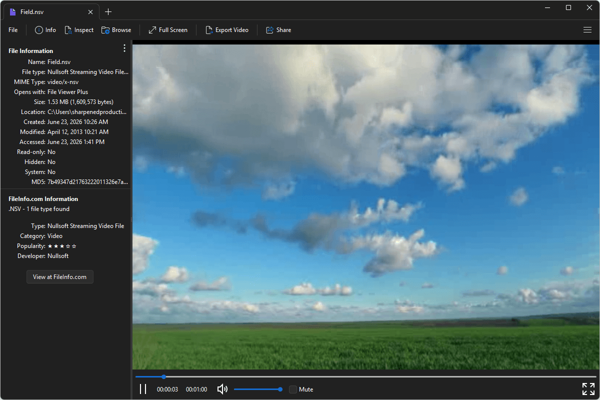 NSV file open in File Viewer Plus 6