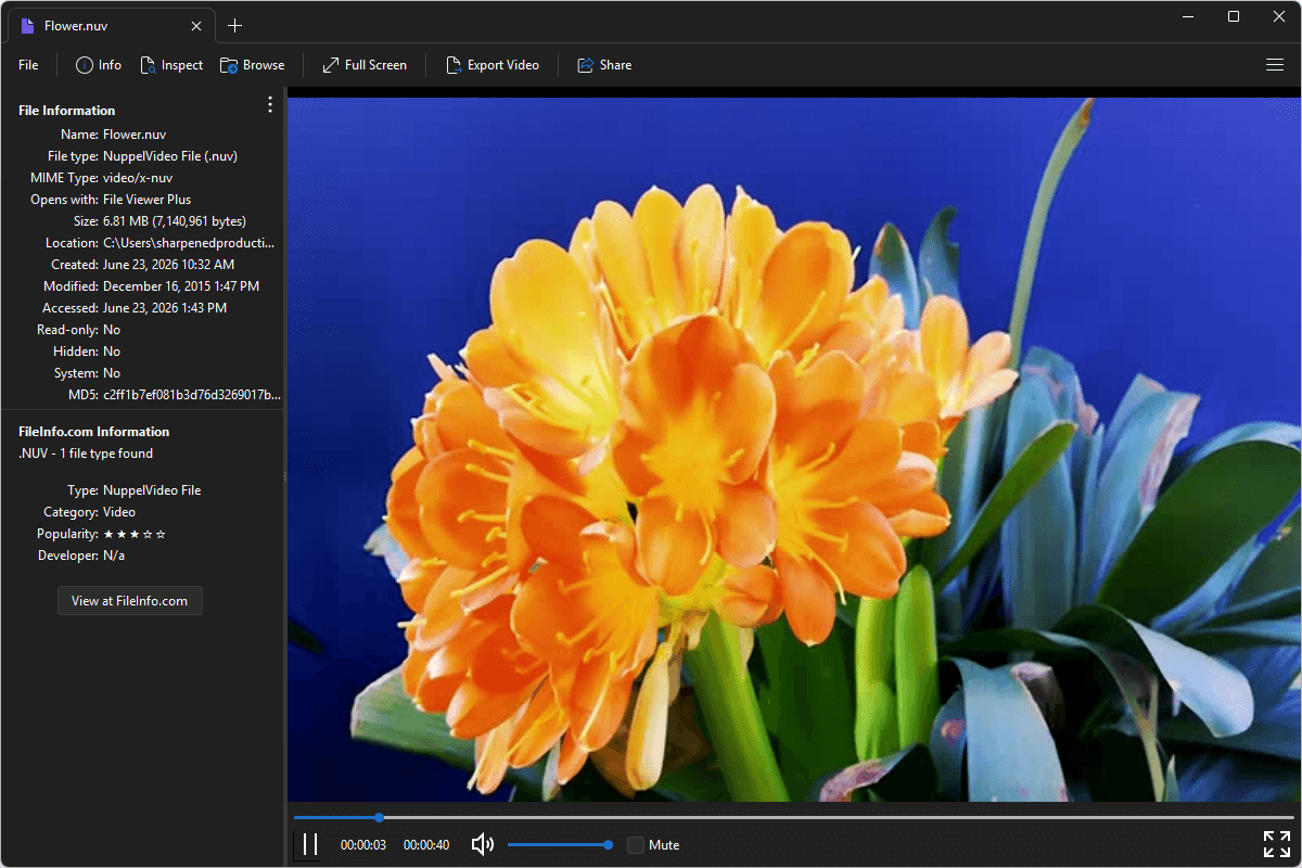 NUV file open in File Viewer Plus 6