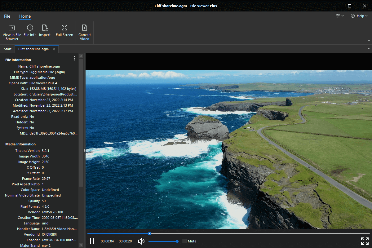OGM file open in File Viewer Plus 4