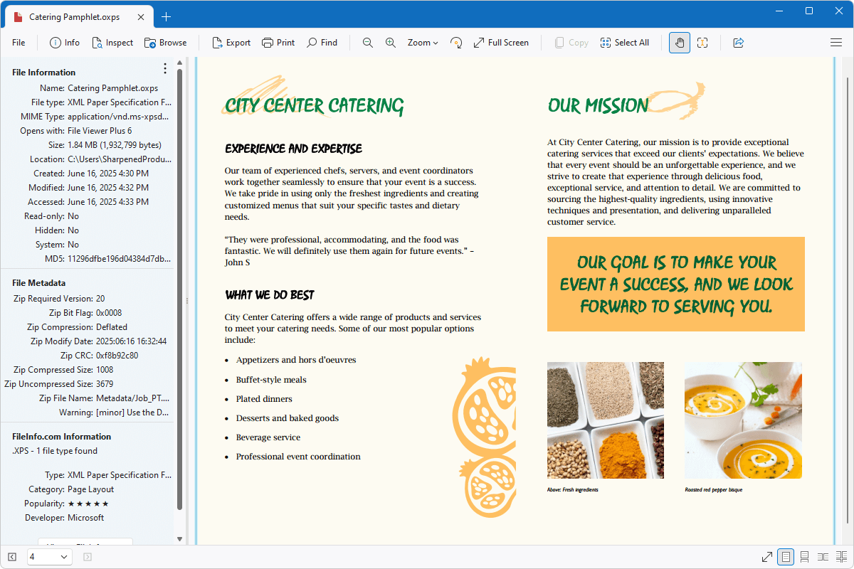 OXPS file open in File Viewer Plus 6