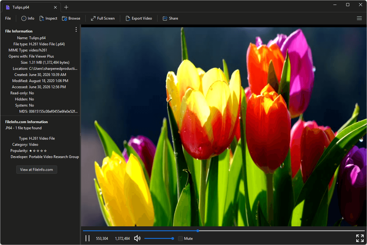P64 file open in File Viewer Plus 6