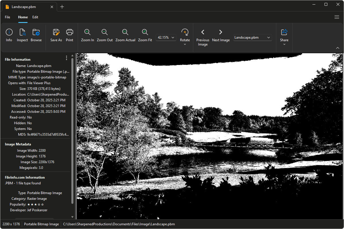 PBM file open in File Viewer Plus 6