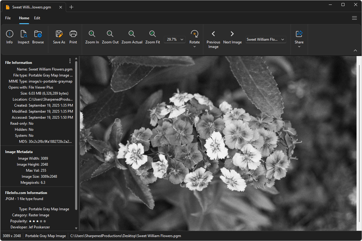 PGM file open in File Viewer Plus 6