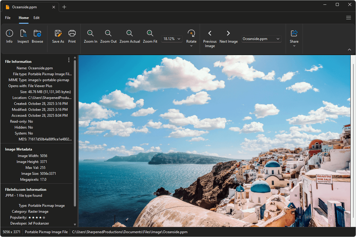 PPM file open in File Viewer Plus 6