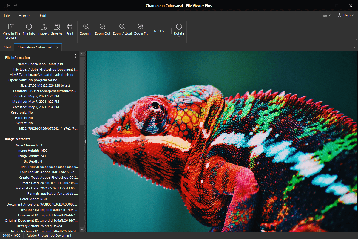 download adobe photoshop psd file reader