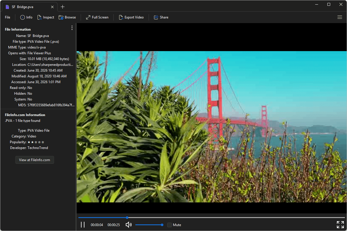 PVA file open in File Viewer Plus 6