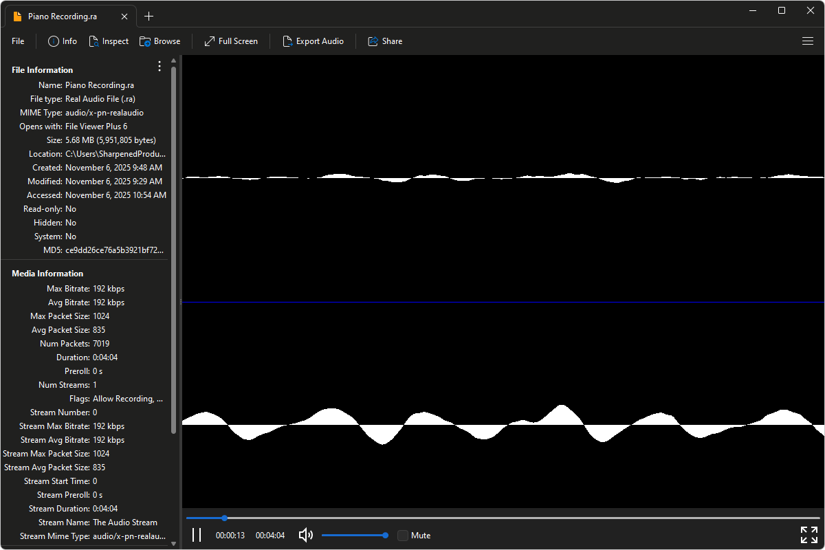 RA file open in File Viewer Plus 6