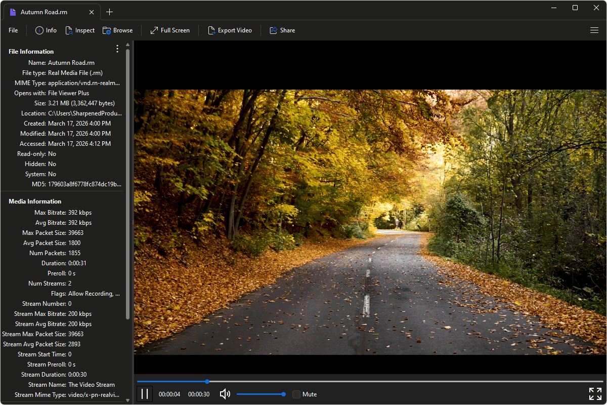 RM file open in File Viewer Plus 6