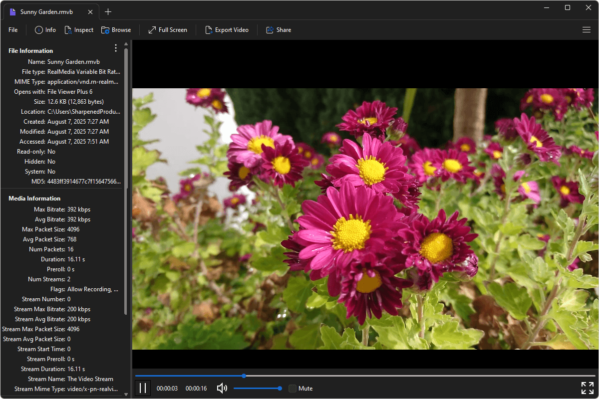 RMVB file open in File Viewer Plus 6