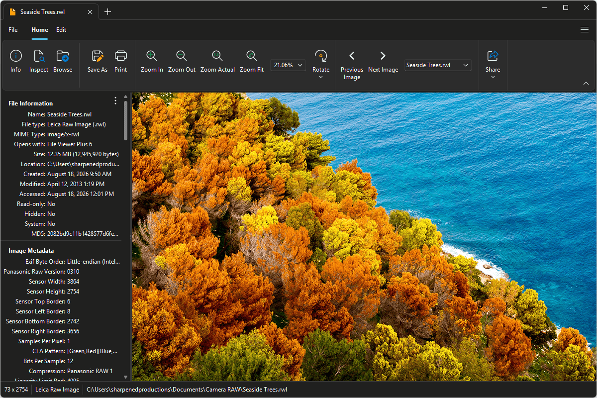 RWL file open in File Viewer Plus 6