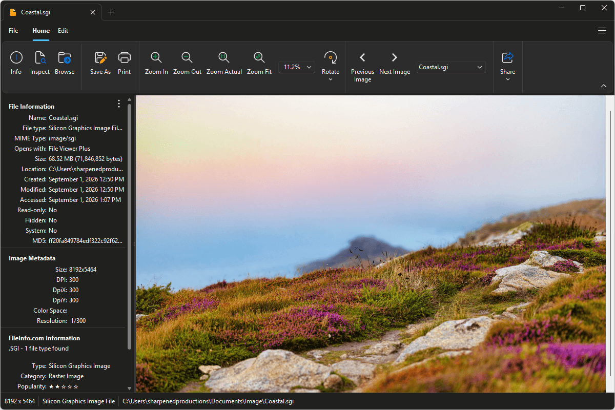 SGI file open in File Viewer Plus 6