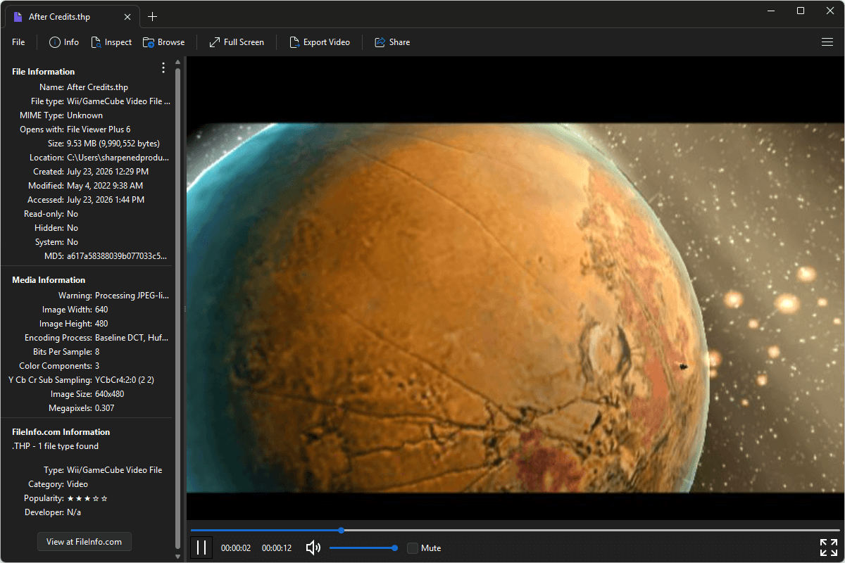 THP file open in File Viewer Plus 6