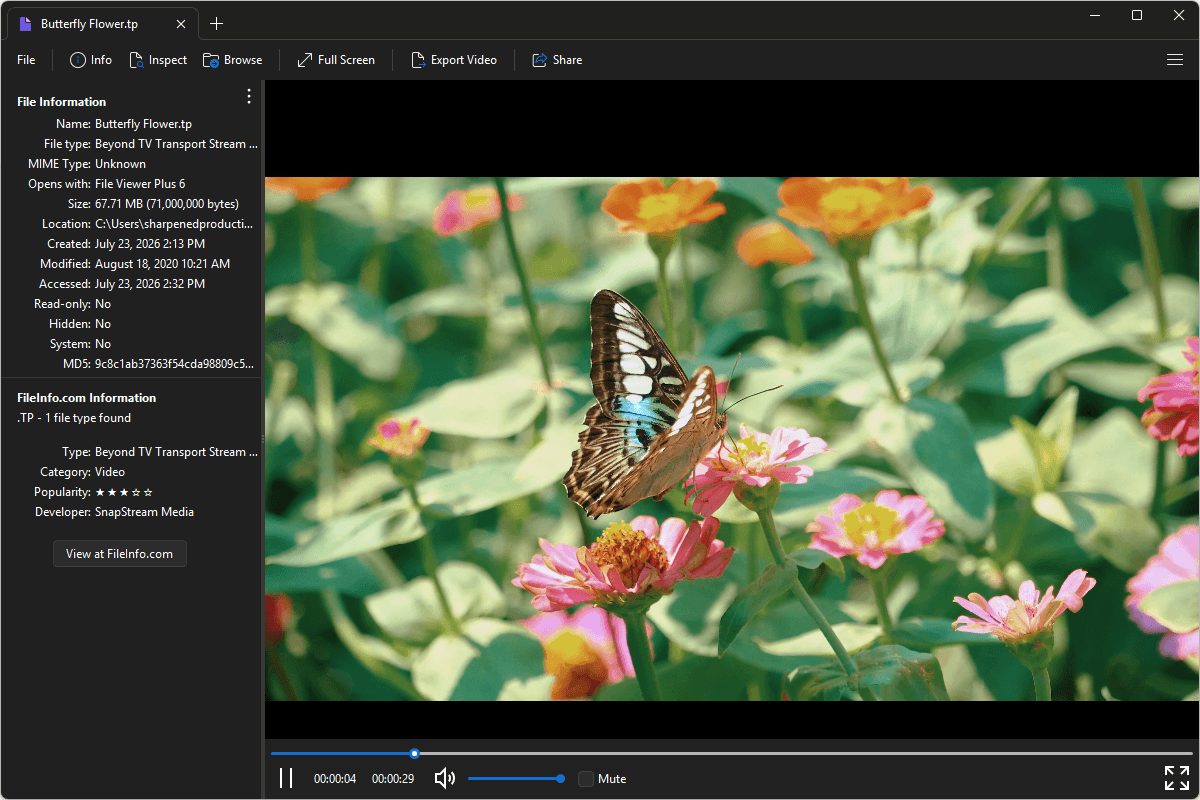 TP file open in File Viewer Plus 6