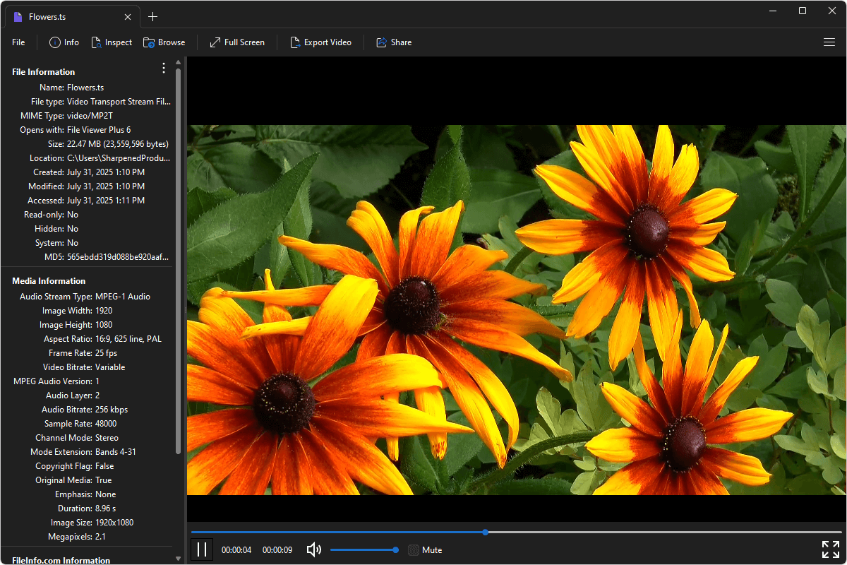 TS file open in File Viewer Plus 6