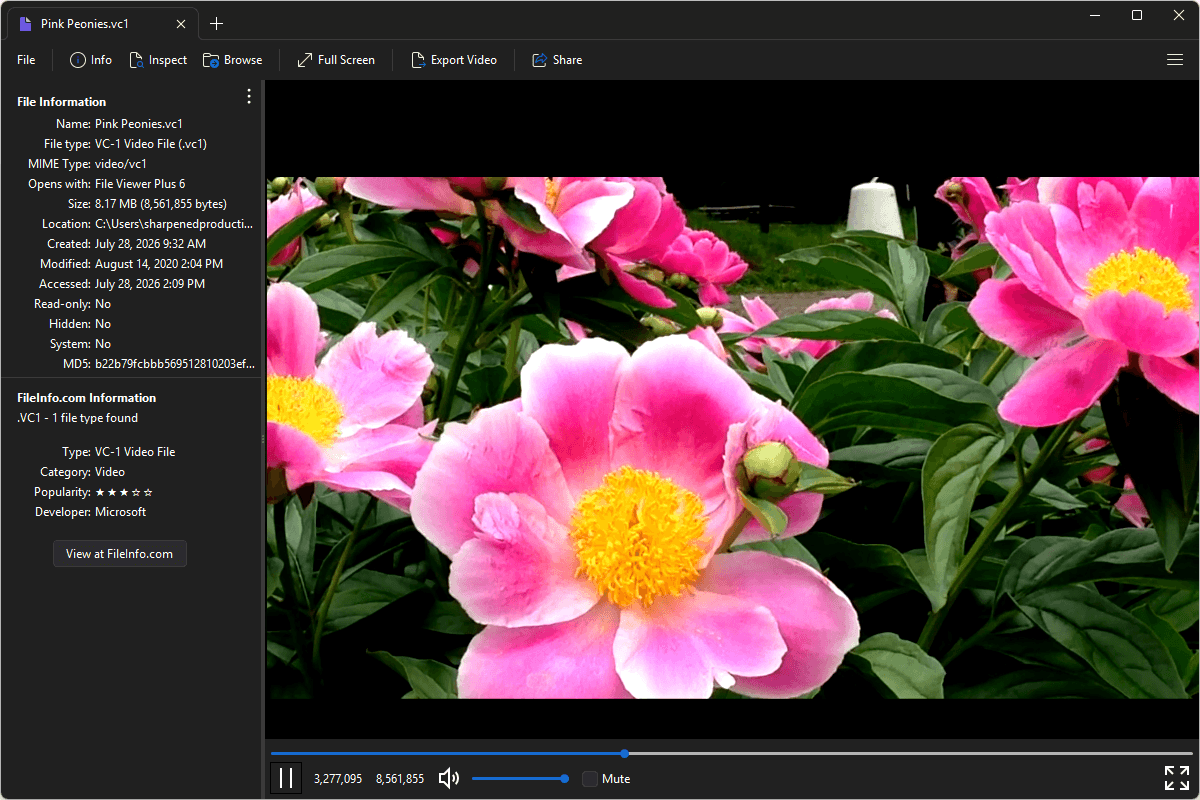 VC1 file open in File Viewer Plus 6