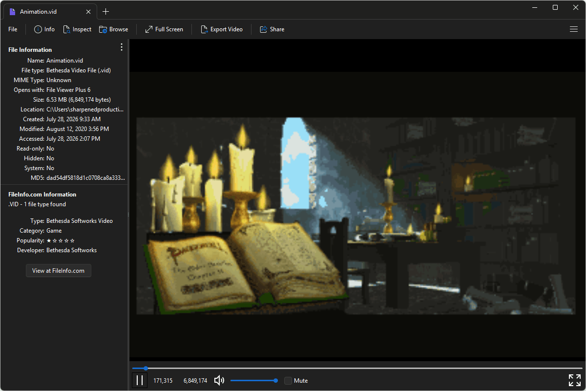 VID file open in File Viewer Plus 6