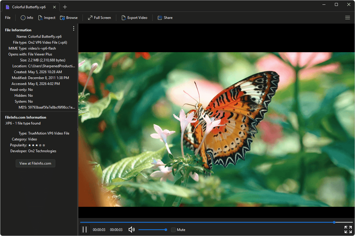 VP6 file open in File Viewer Plus 6