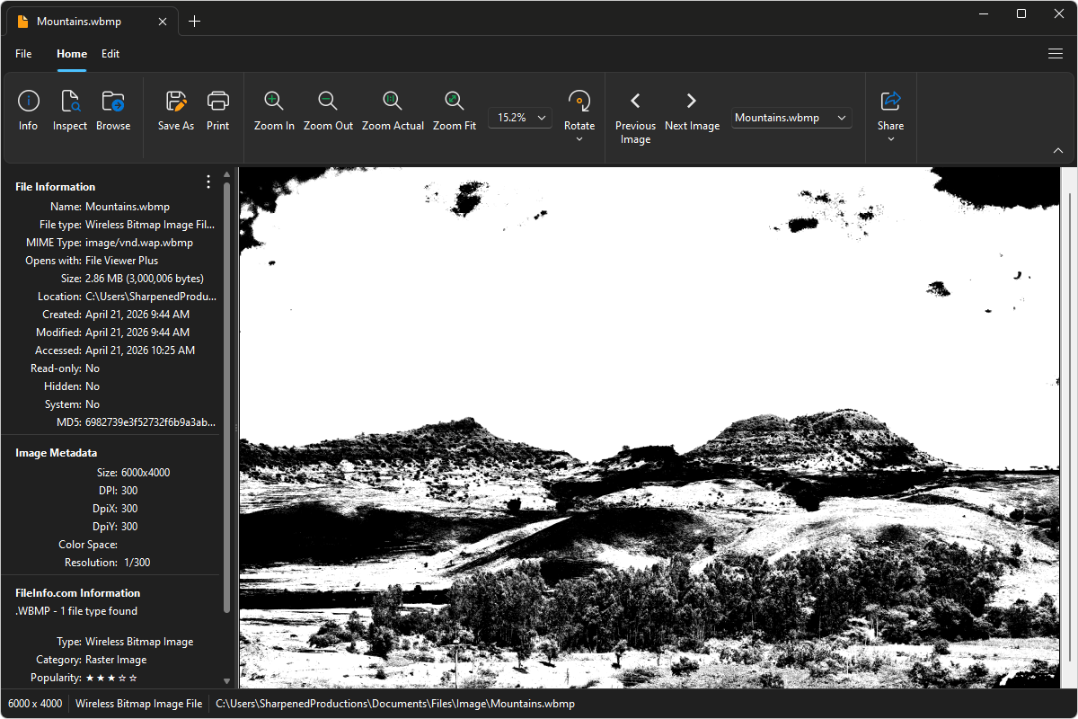 WBMP file open in File Viewer Plus 6
