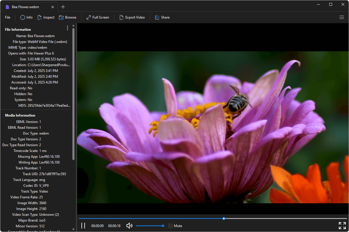 WEBM file open in File Viewer Plus 6