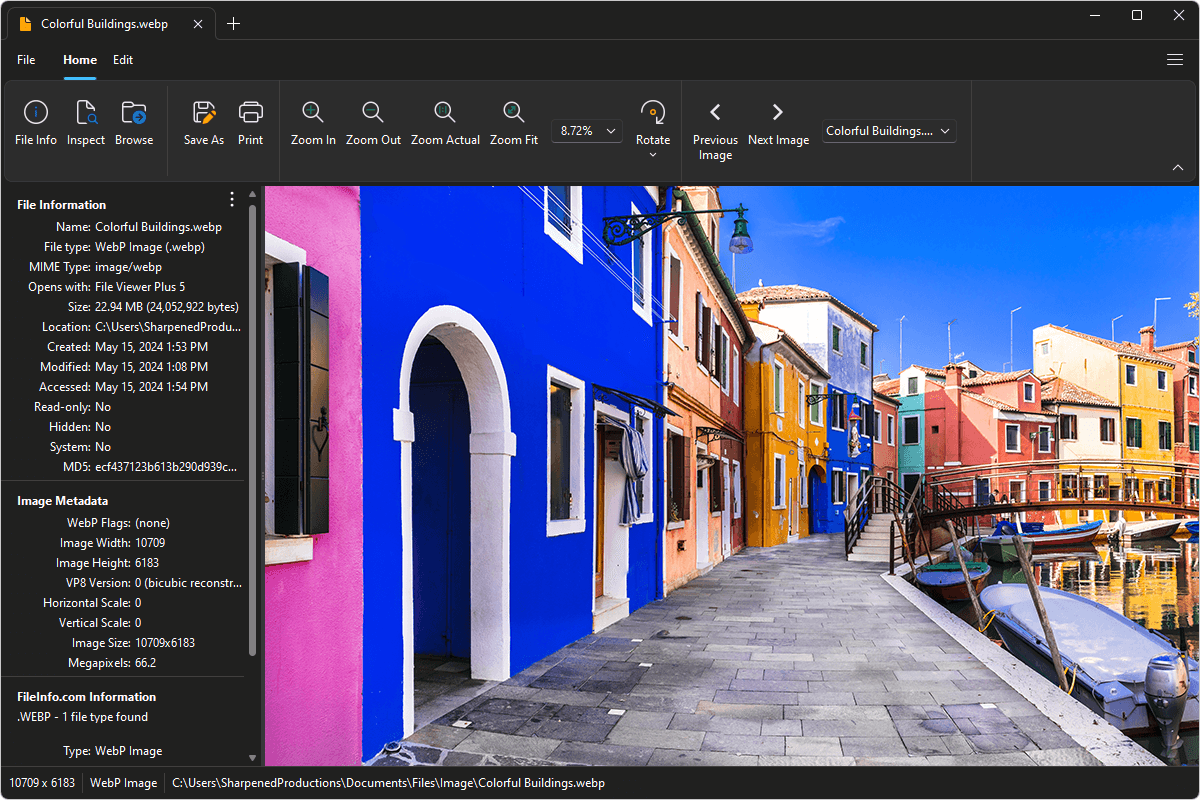 WEBP file open in File Viewer Plus 5