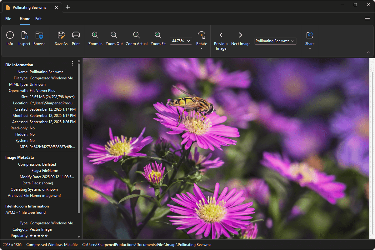 WMZ file open in File Viewer Plus 6