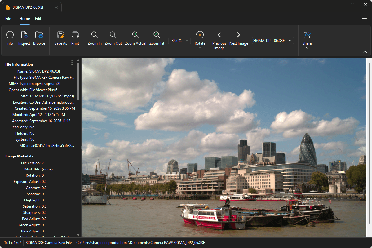 X3F file open in File Viewer Plus 6