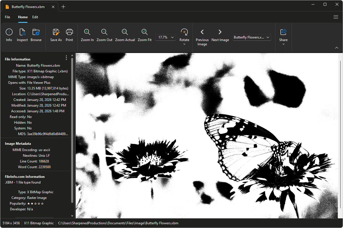 XBM file open in File Viewer Plus 6