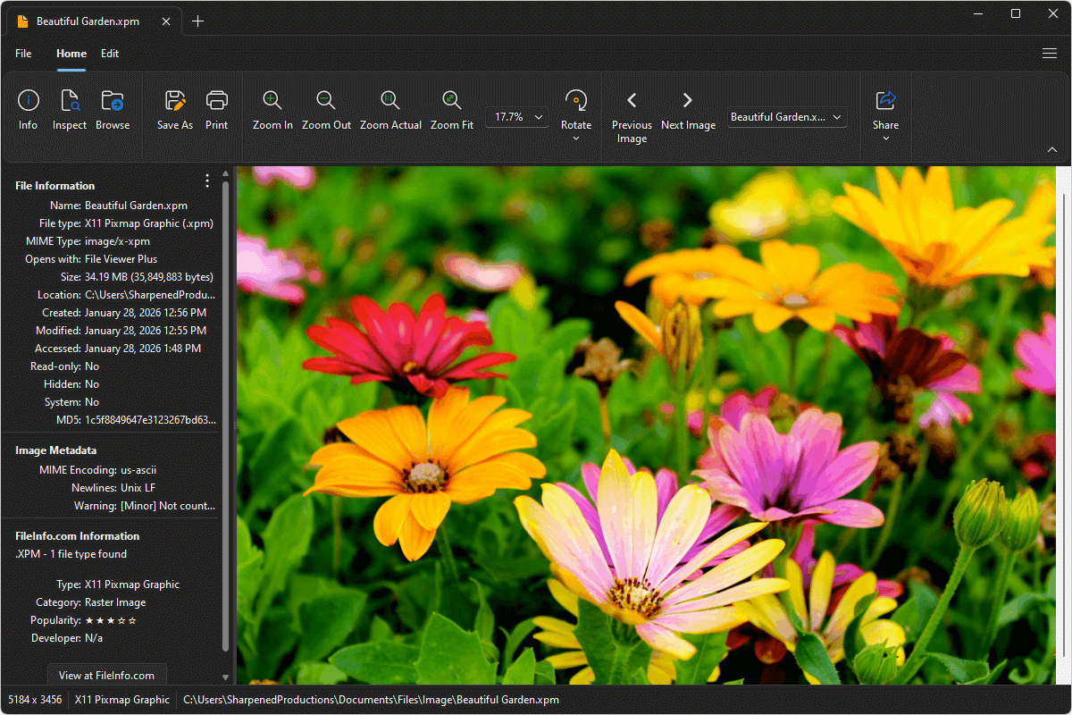 XPM file open in File Viewer Plus 6