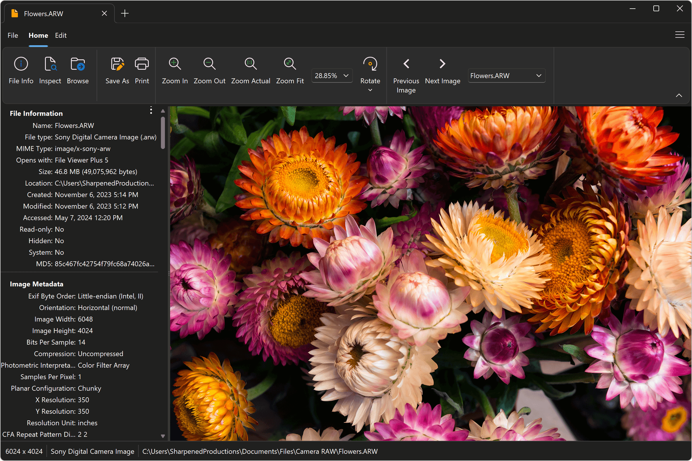 Open ARW Files With File Viewer Plus