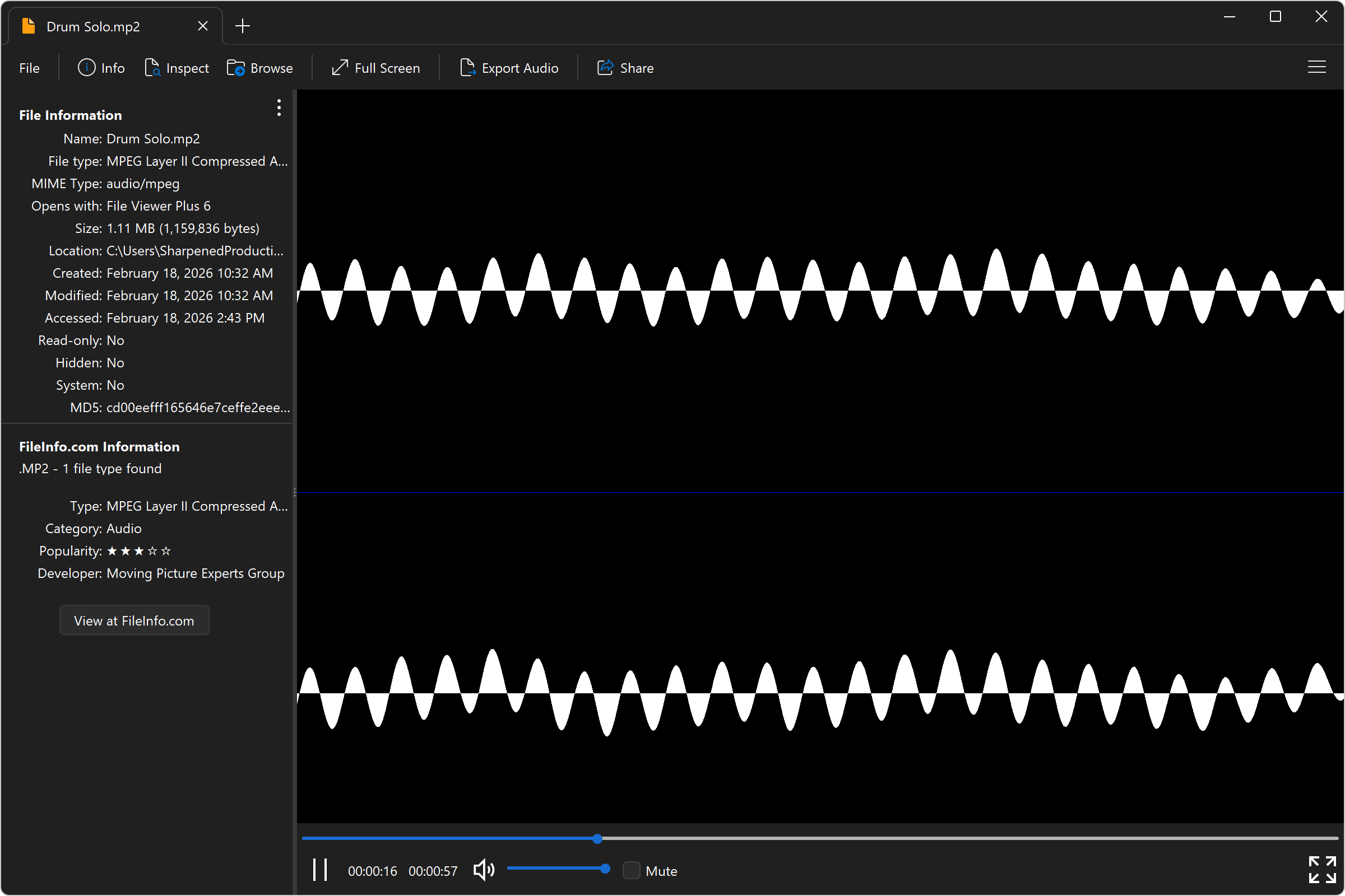 Open .MP2 Files with File Viewer Plus