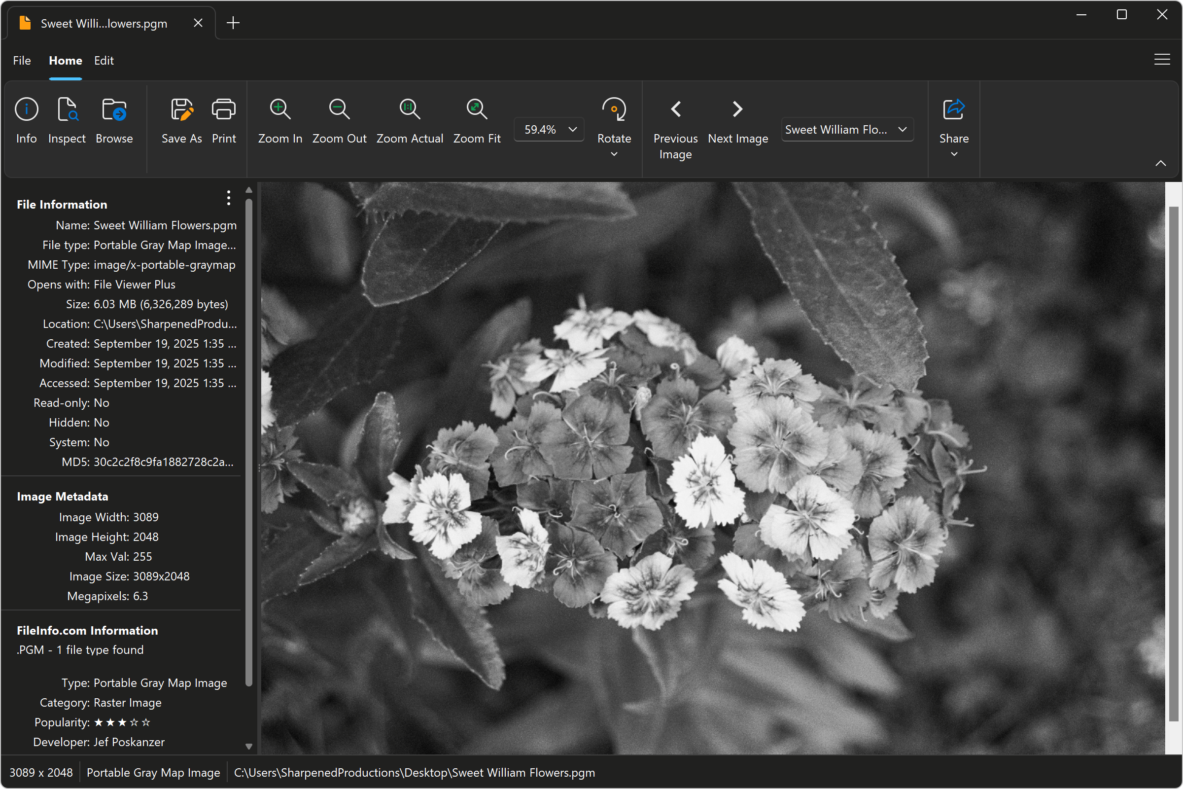Open .PGM Files with File Viewer Plus