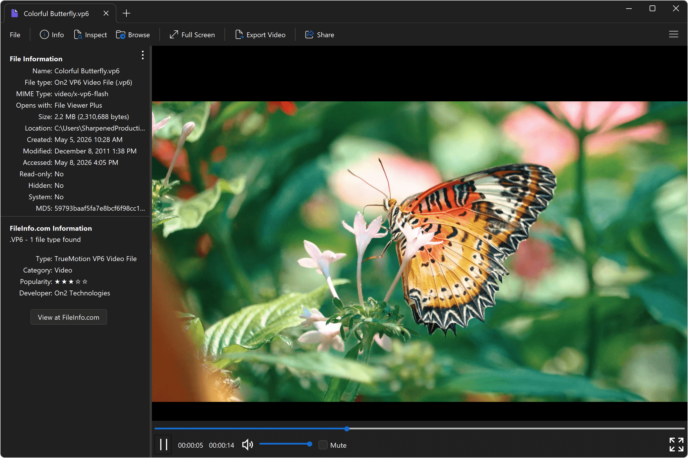 Open .VP6 Files with File Viewer Plus