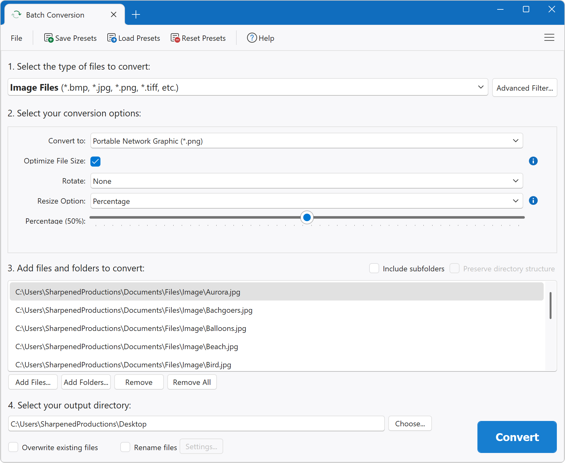 Batch Conversion Interface