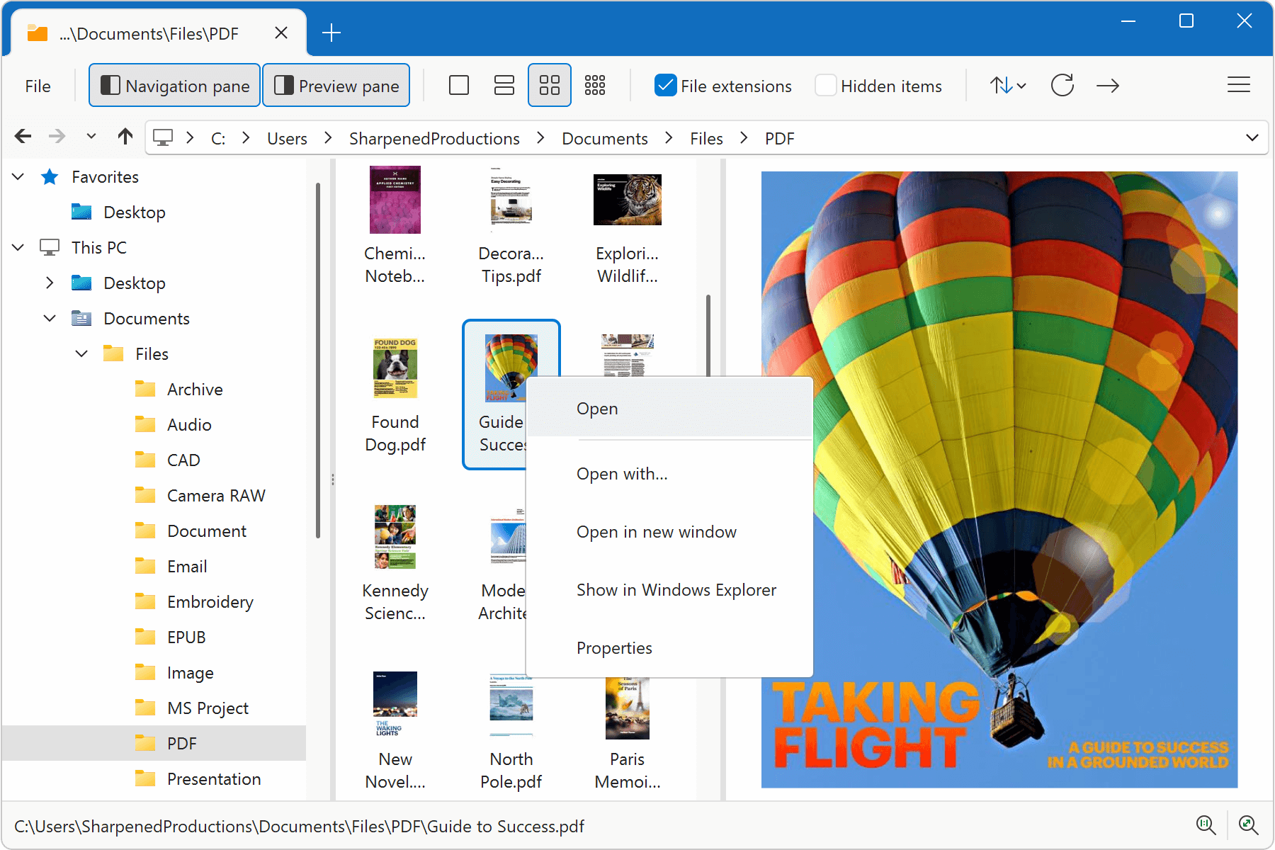 File Viewer Plus File Browser Detail