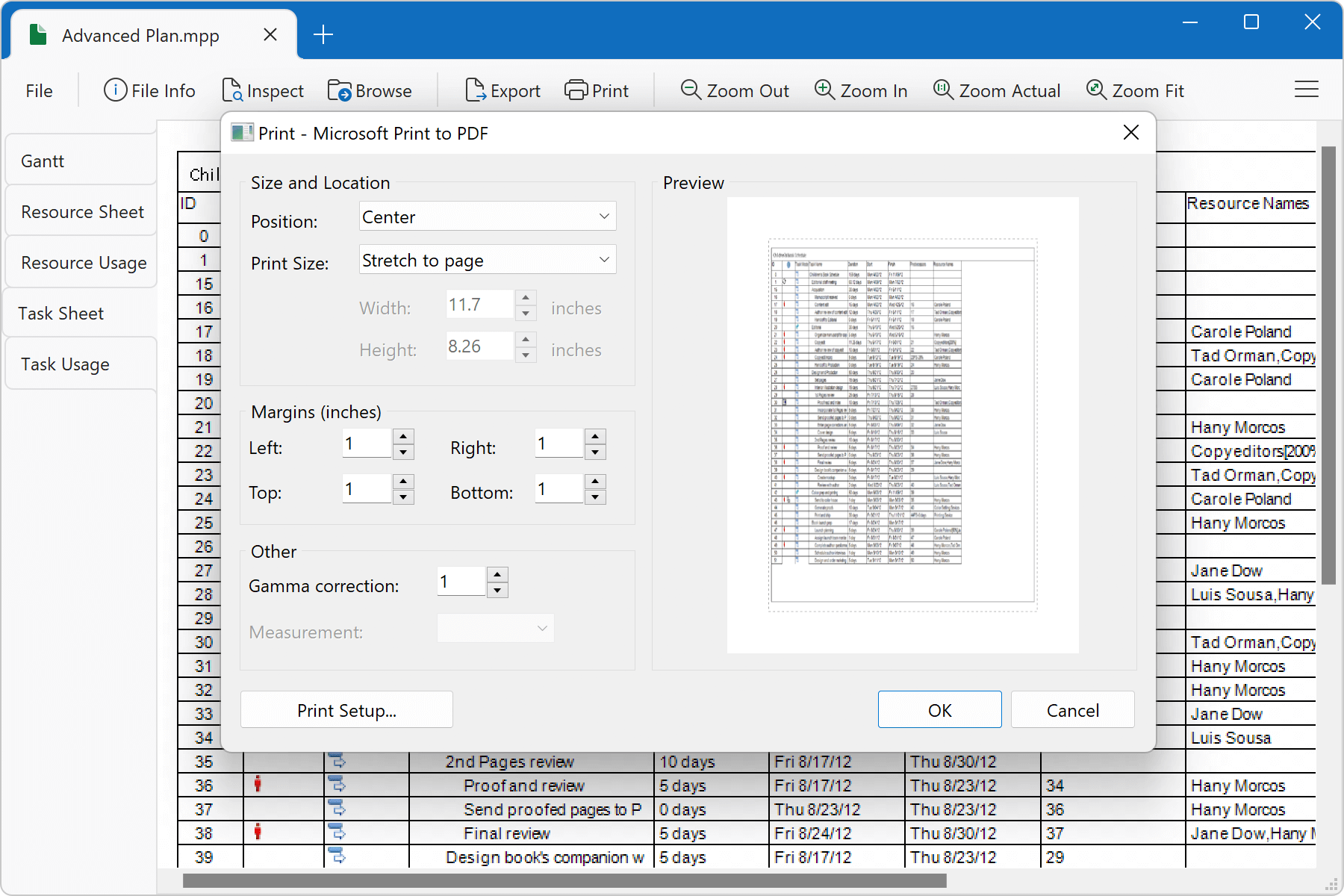 ms project file type