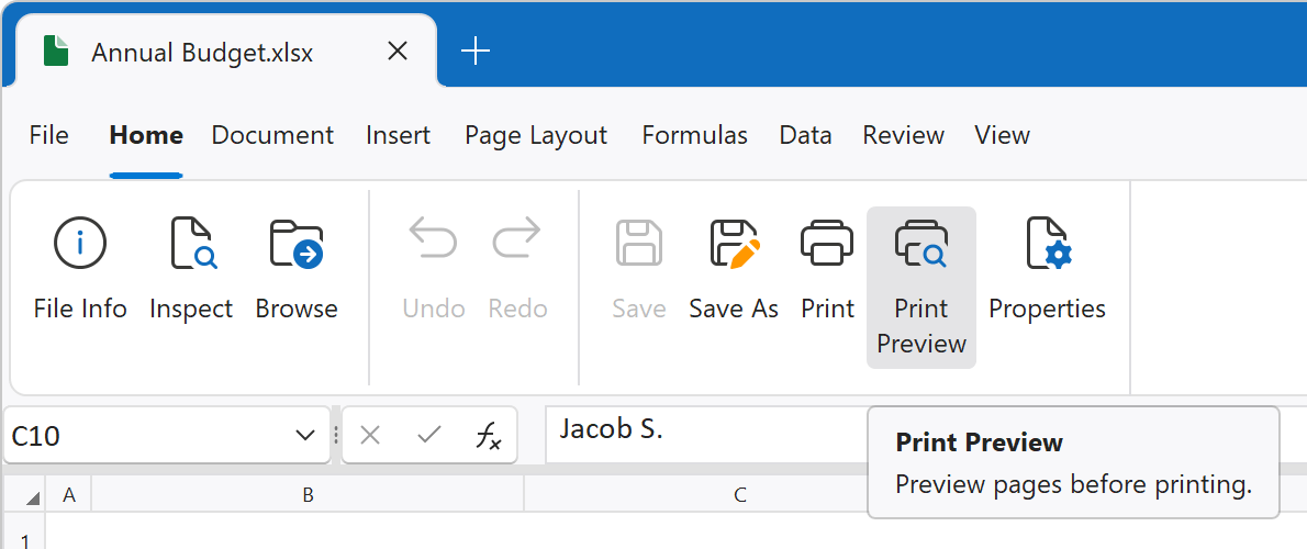 Spreadsheet Print Preview Button